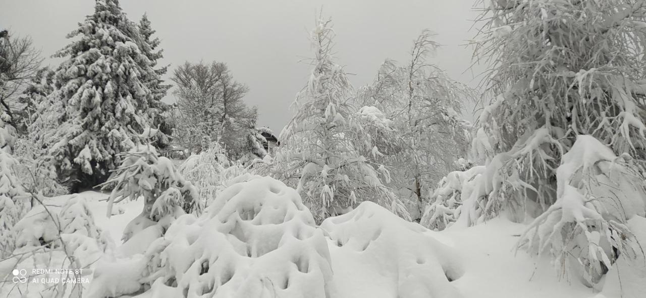 Na Malej Apartamento Szklarska Poręba Exterior foto